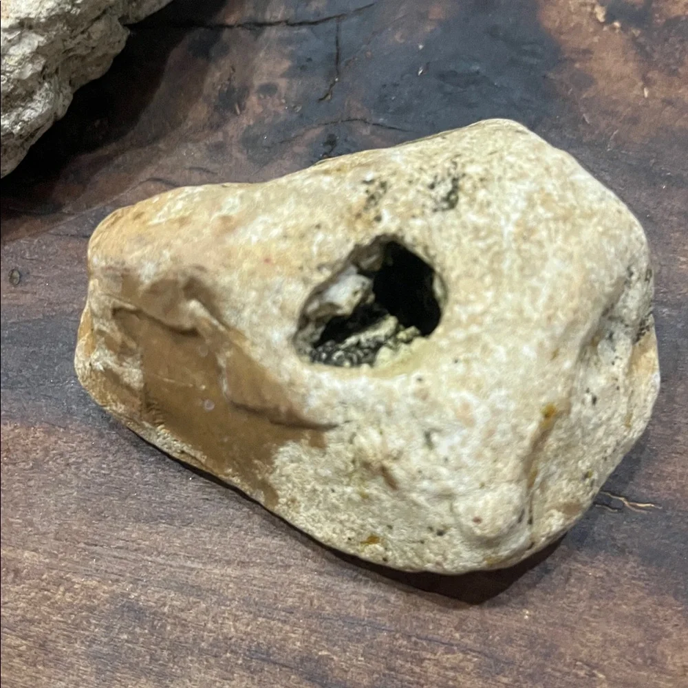Natural Rock With Holes Found in off grid creek bed Southern TN Set of 2
